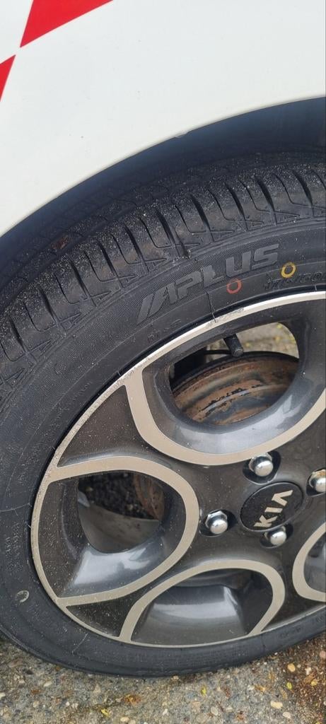 Kia Picanto met All-Season banden, 14 inch, Gebruikt, 175 mm, Banden en Velgen