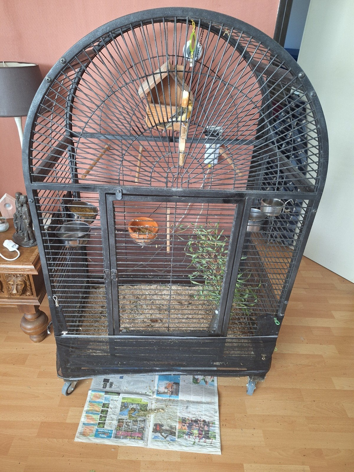 Mooie grote vogelkooi., Ophalen, Zo goed als nieuw, Metaal, Vogelkooi