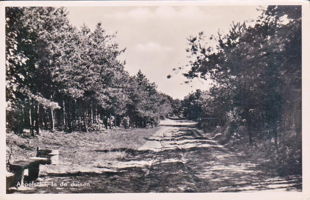 07468 Appelscha - In de duinen, Verzenden, 1940 tot 1960, Gelopen, Friesland