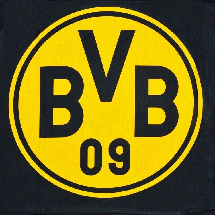 Borussia Dortmund ticket(s) 2026/2027, Tickets en Kaartjes, Eén persoon