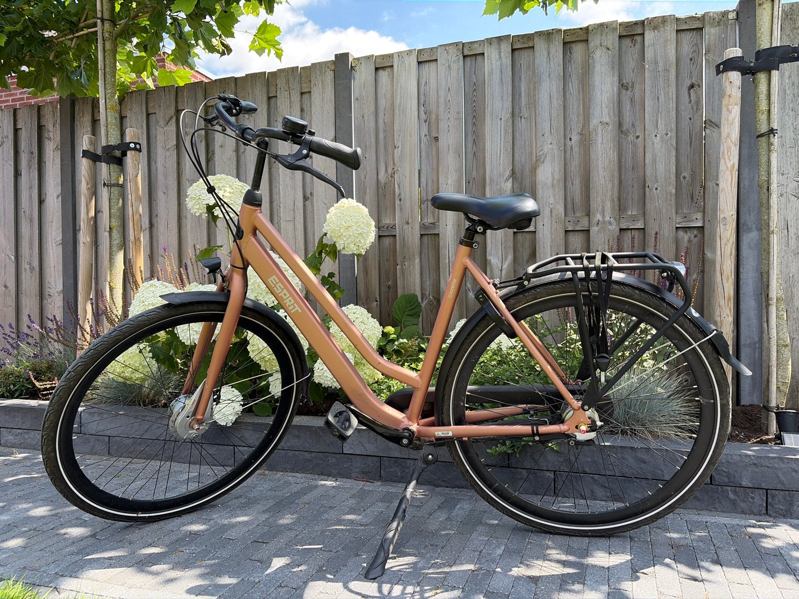 Gazelle Esprit damesfiets, Fietsen en Brommers, Fietsen | Dames | Damesfietsen, Ophalen, 53 tot 56 cm, Velgrem, Versnellingen