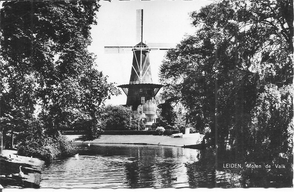 Oude Ansichtkaart: Molen de Valk, Leiden (Gelopen), Ophalen of Verzenden, 1940 tot 1960, Gelopen, Zuid-Holland