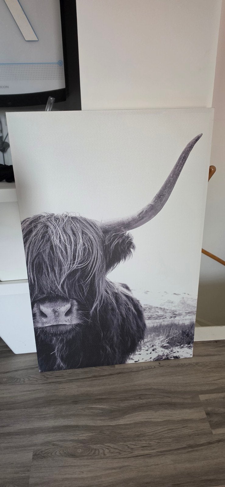 Canvas schotse hooglander, Huis en Inrichting, Ophalen, Zo goed als nieuw, Schilderij