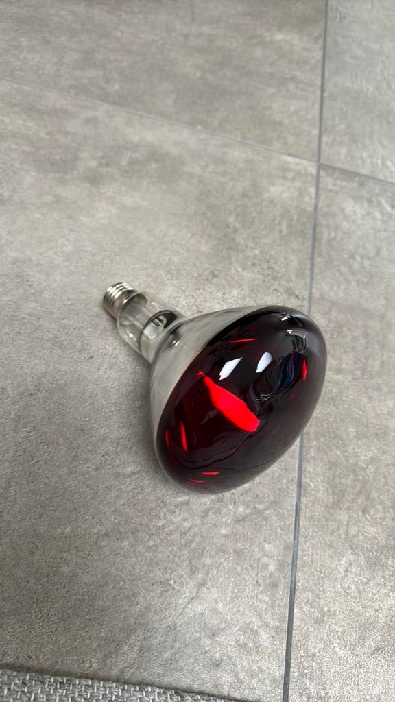 Warmtelamp te koop, Ophalen of Verzenden, Zo goed als nieuw, Overige typen