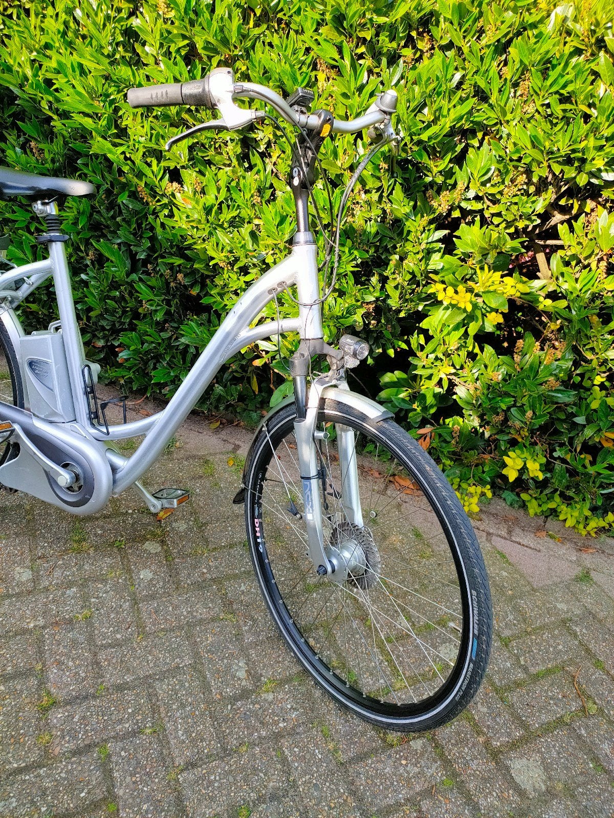 Elektrische fiets Flyer met extra accu in Nette Staat, Fietsen en Brommers, Elektrische fietsen, Overige merken, Gebruikt, Ophalen of Verzenden