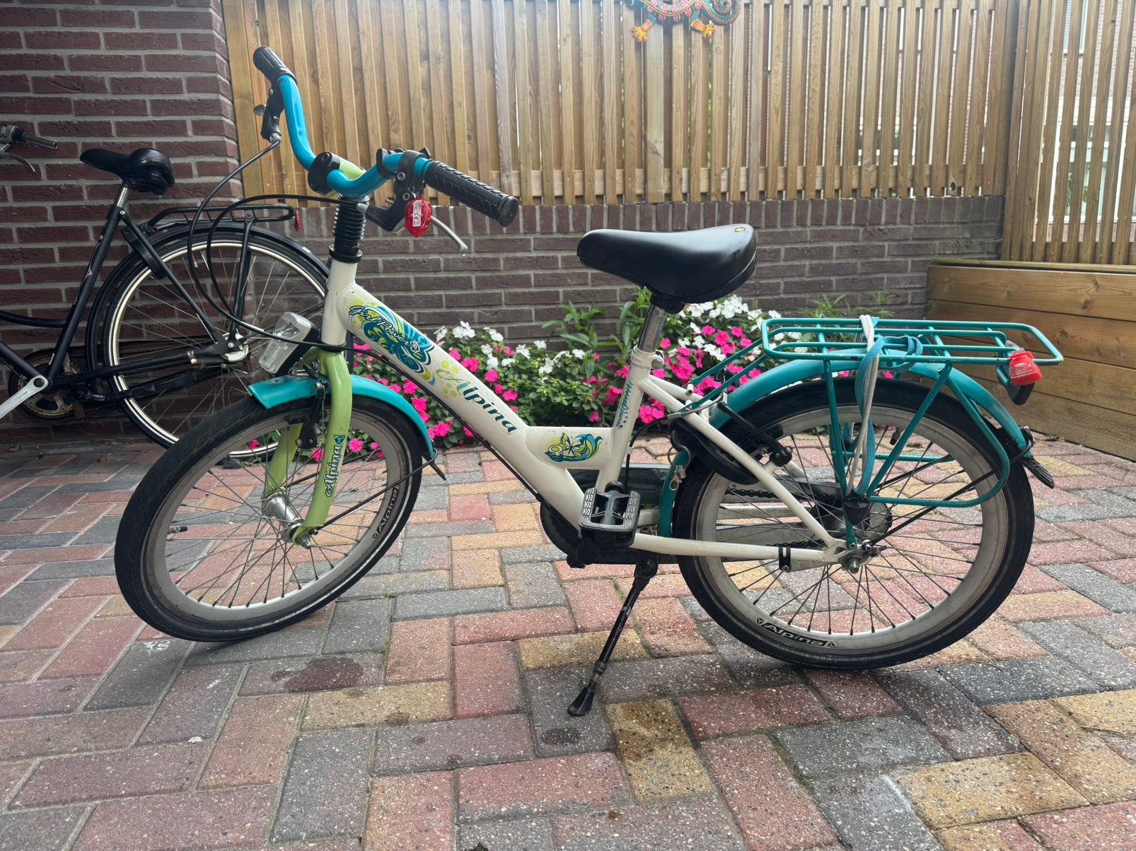 Alpina kinderfiets 20” inch, Ophalen, Gebruikt, 20 inch, Handrem