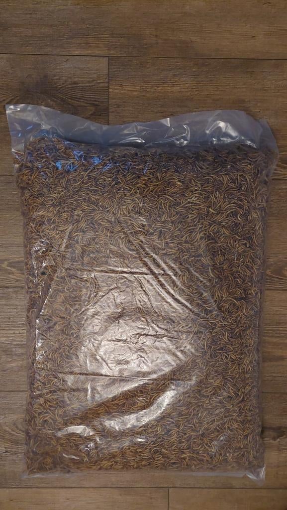 Grote zak (5 KG) Meelwormen  (2 zakken beschikbaar), Ophalen