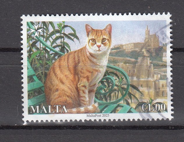 Malta 2025 Mi nr 2320, kat, poes, rood, Ophalen of Verzenden, Malta, Gestempeld