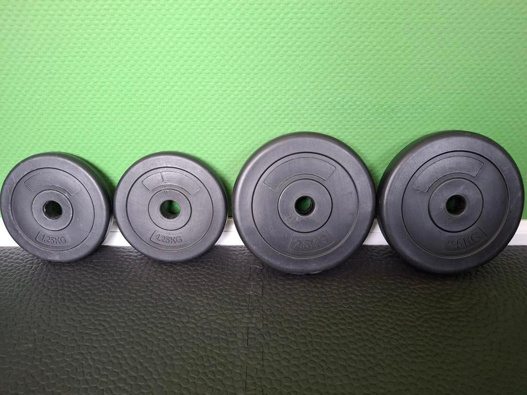 Set Halterschijven 2x1.25kg en 2x2.5kg, Ophalen, Gebruikt, Rug, Halterschijven