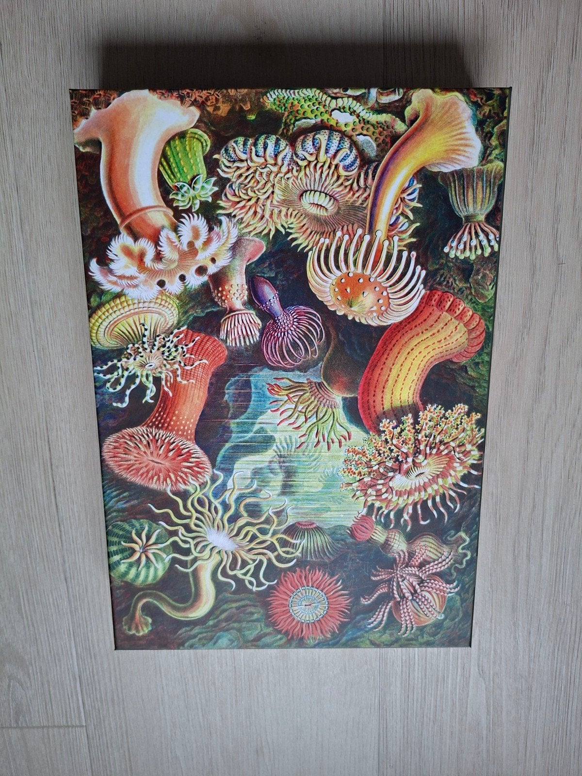 Uitdagende Zee Anemoon Puzzel - 1000 Stukjes, Ophalen of Verzenden, Nieuw
