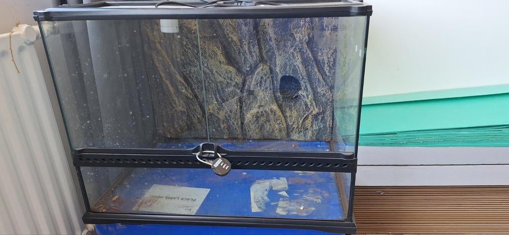 Exo Terra terrarium, Dieren en Toebehoren, Reptielen en Amfibieën | Toebehoren, Ophalen