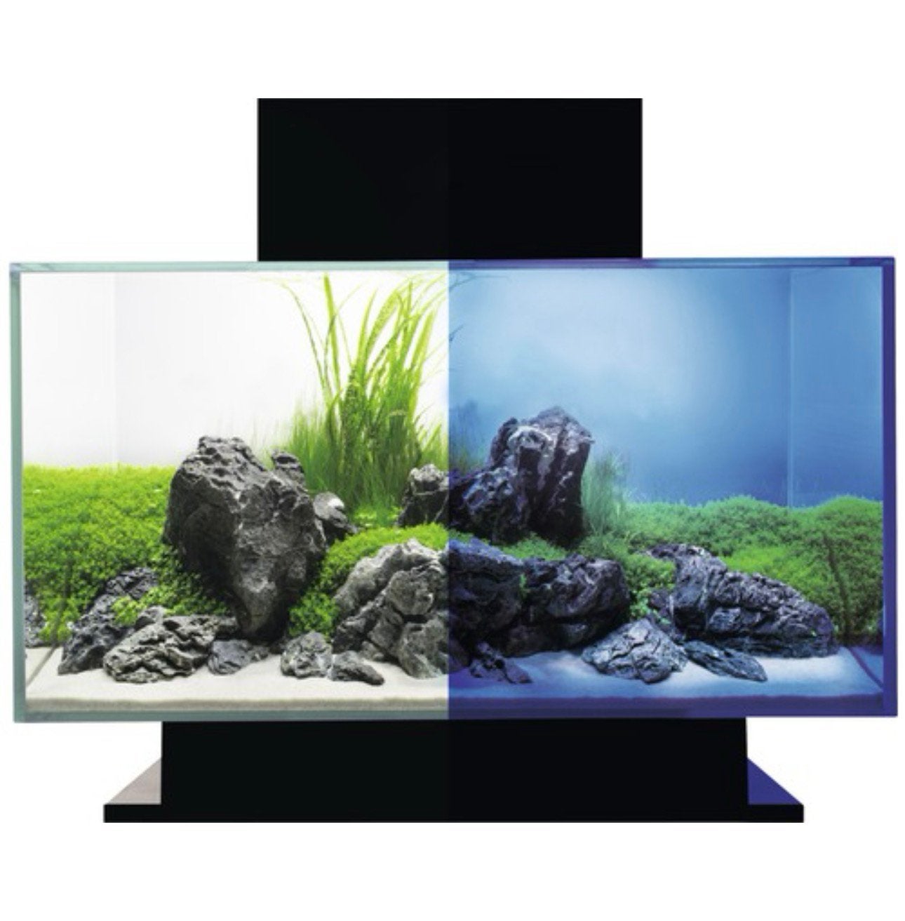 Fluval edge aquarium, Ophalen, Zo goed als nieuw, Leeg aquarium