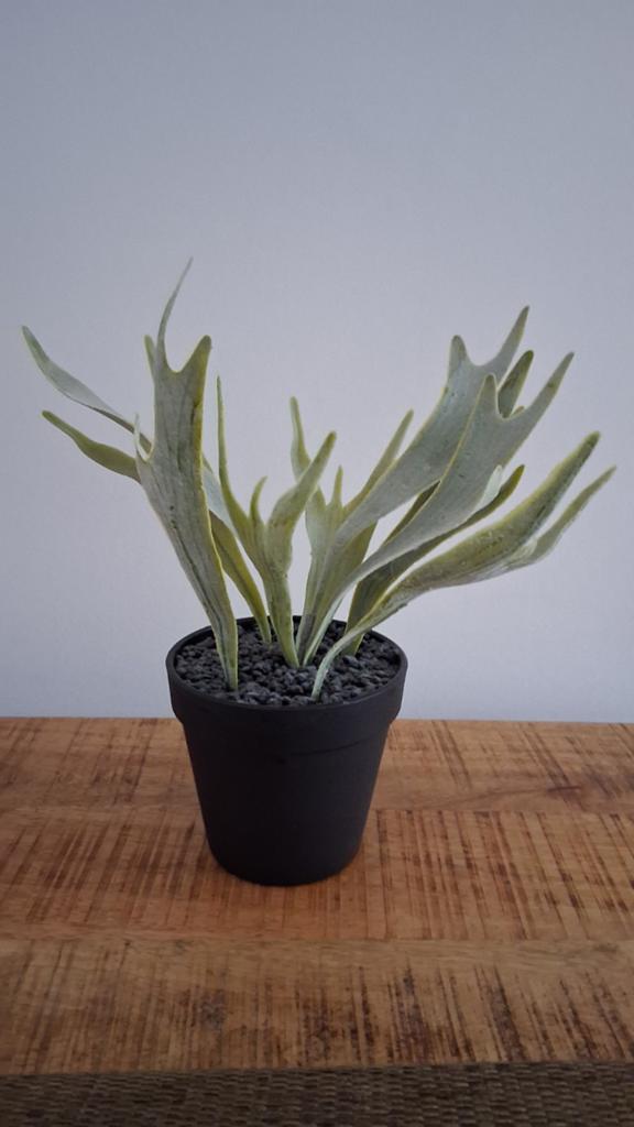Z.g.a.n. kunstplant in pot 30 cm € 5, Ophalen of Verzenden, In pot, Minder dan 100 cm