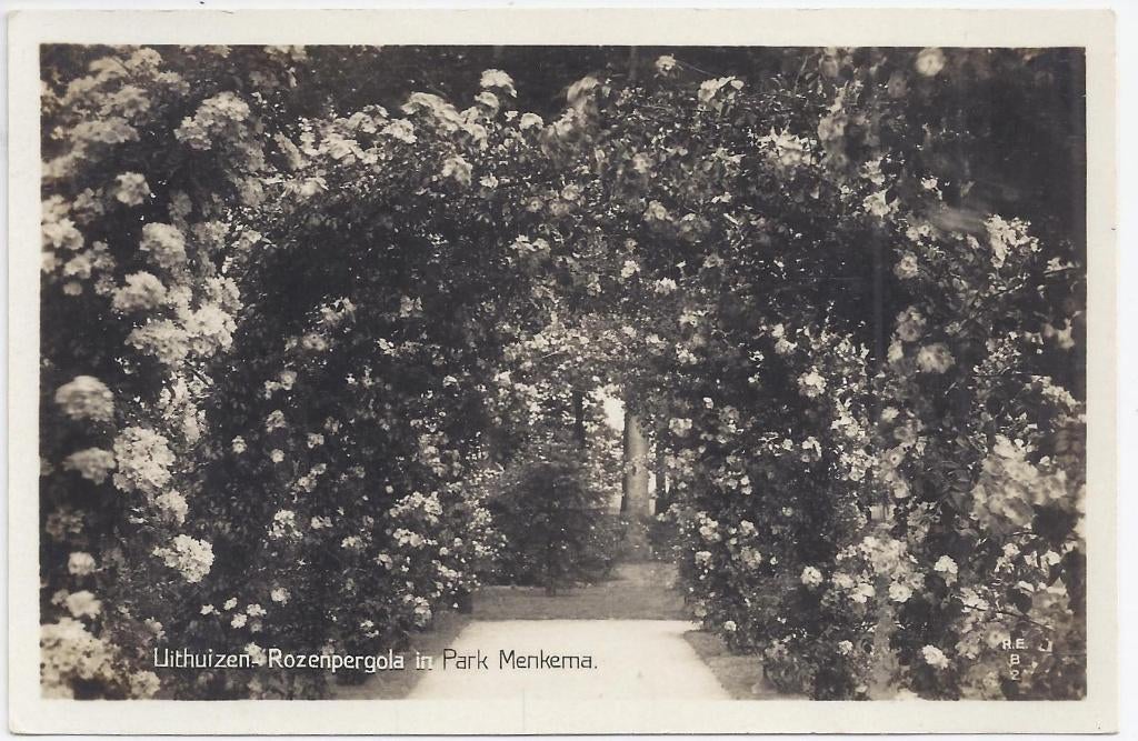 Uithuizen Rozenpergola Oude gelopen ansichtkaart (B1371), Ophalen of Verzenden, 1980 tot heden, Gelopen