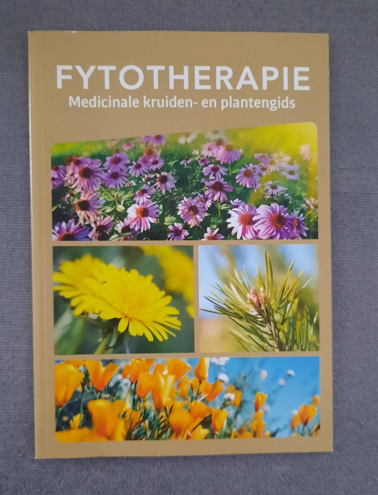 Boek Fytotherapie - Medicinale kruiden- en plantengids, Ophalen of Verzenden
