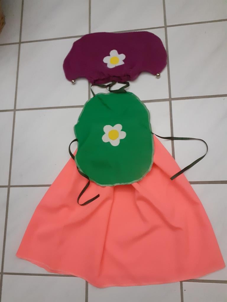 Kwebbel, Kabouter meisje  Maat : 110 - 116, Kinderen en Baby's, Carnavalskleding en Verkleedspullen, Nieuw, Meisje, 110 t/m 116