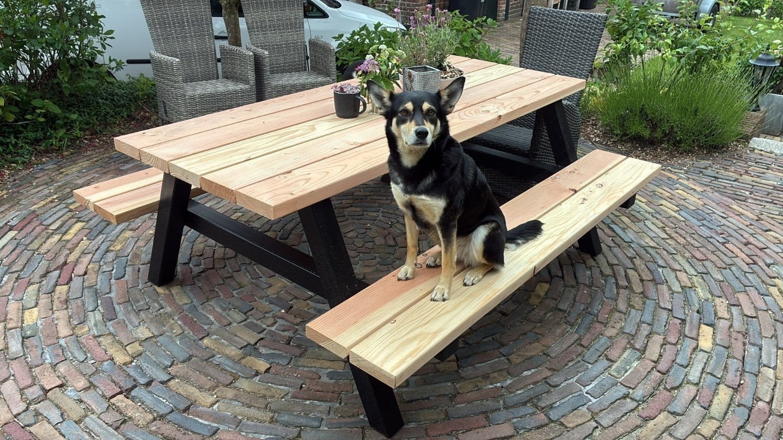picknicktafels!, Ophalen, Nieuw, Rechthoekig, Hout