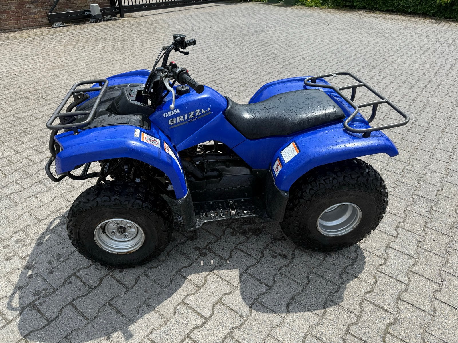 Yamaha Grizzly 125 Quad - Betrouwbaar en Compact, 1 cilinder, 11 kW of minder
