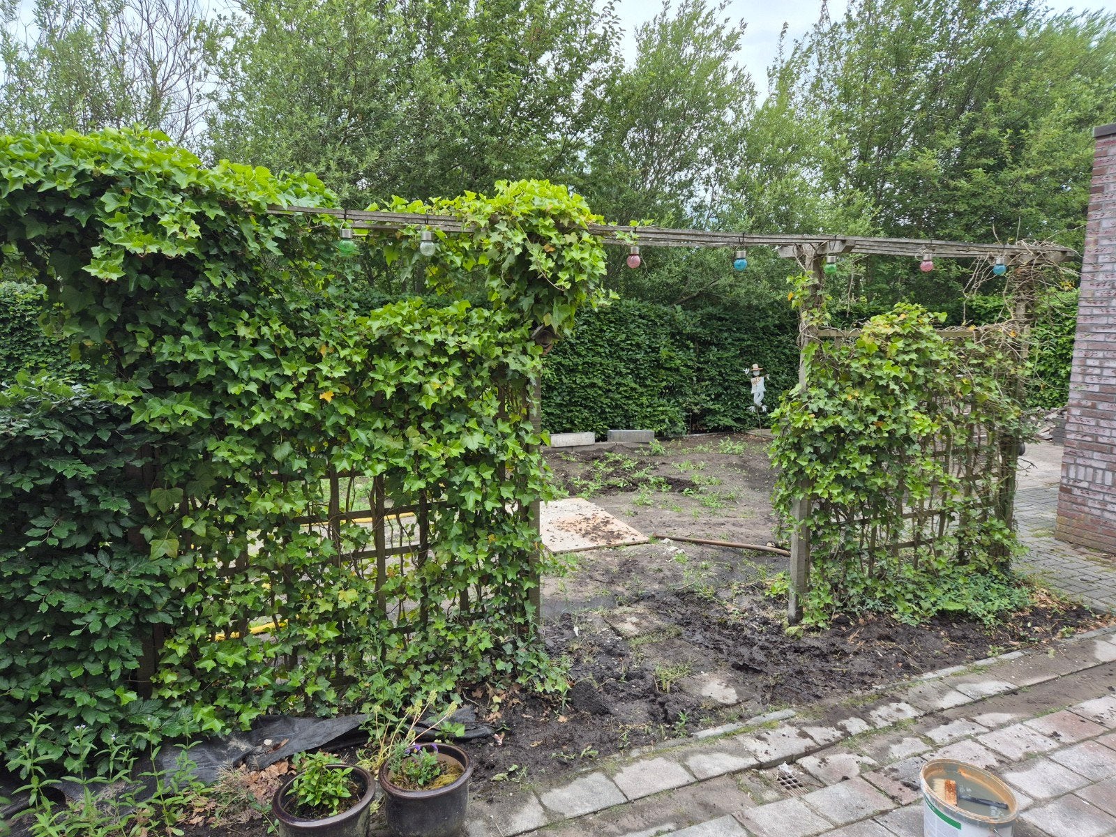 Pergola, Ophalen, Gebruikt, 150 tot 200 cm, Hout