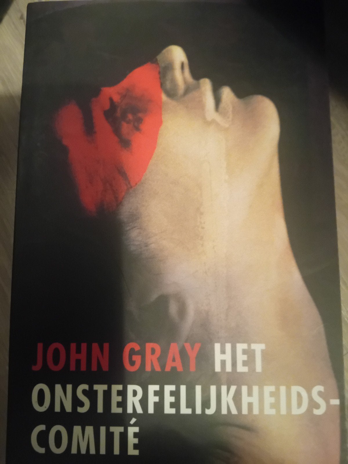 Het Onsterfelijkheidscomité - John Gray, Ophalen of Verzenden, Gelezen