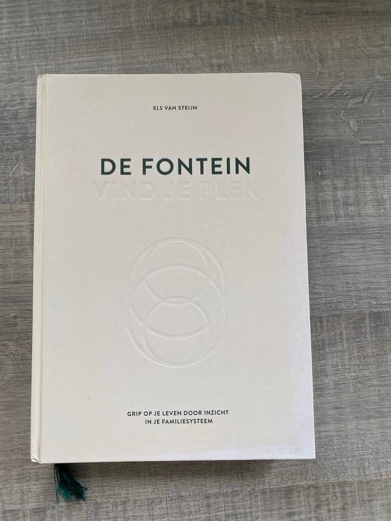 De Fontein - Vind je plek - Els van Steijn, Boeken, Ophalen of Verzenden, Zo goed als nieuw