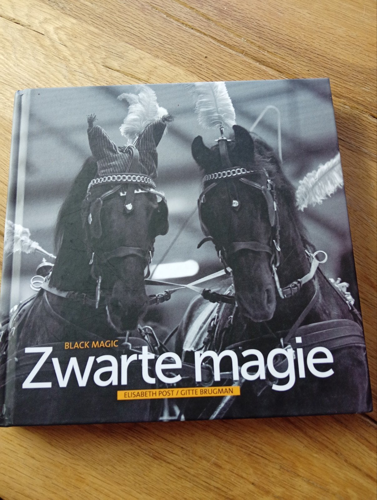 Black Magic Zwarte Magie Friese Paarden Boek, Elisabeth Post / Gitte Brugman, Ophalen of Verzenden, Zo goed als nieuw, Paarden of Pony's