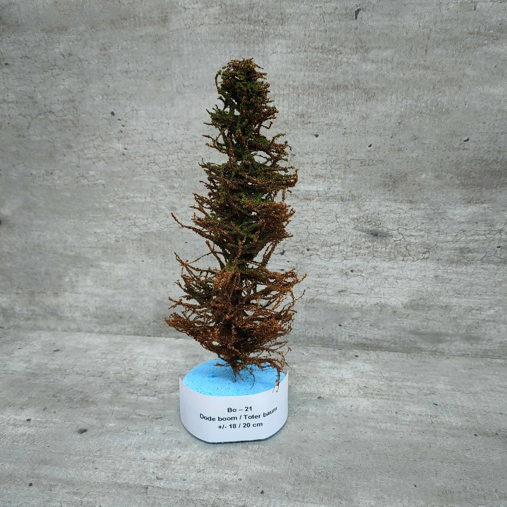 modeltrein Bo – 21   Half Dode boom 18 / 20 cm, Overige merken, Gelijkstroom, Natuur, Nieuw