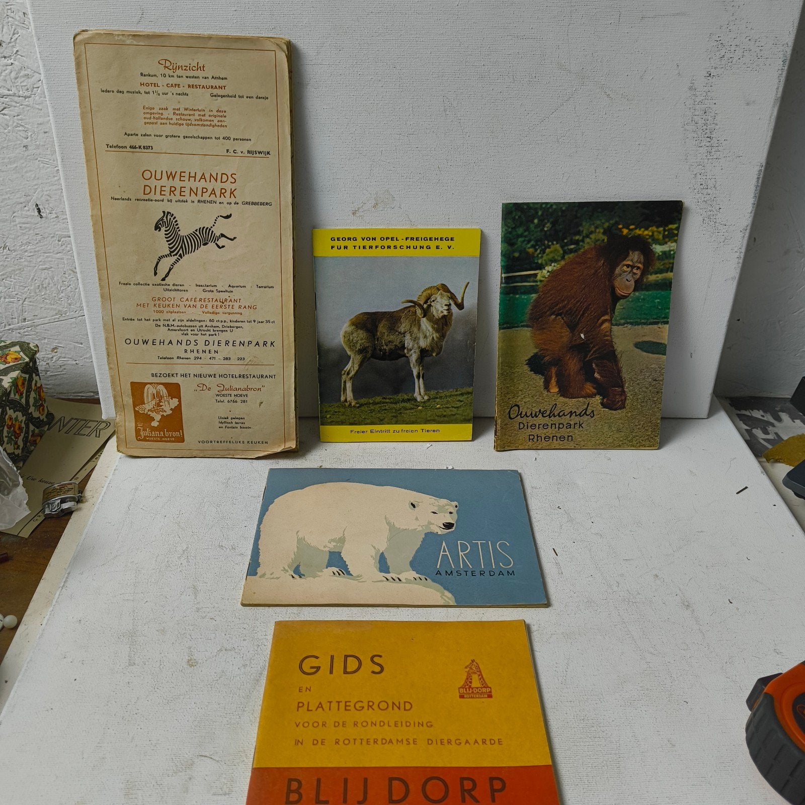 5 Antieke Dierentuin gidsen Artis,Blijdorp,ouwehands, Ophalen of Verzenden