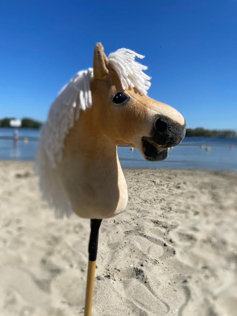 Superleuke IW hobby horse, Ophalen of Verzenden