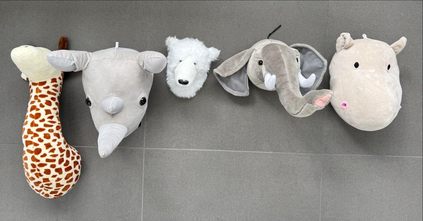 Leuke Dierenkoppen voor de Kinderkamer - Wanddecoratie, Gebruikt, Ophalen of Verzenden, Wanddecoratie, Ophangbaar