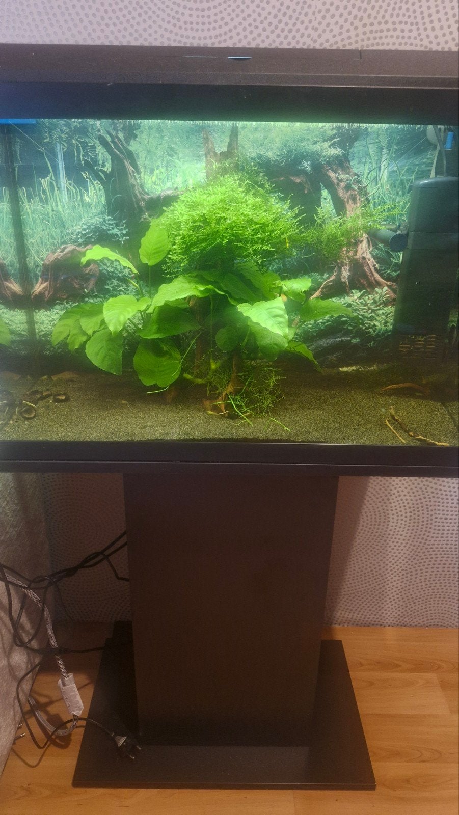 Juwel aquarium 70 liter, Ophalen, Inclusief vissen, Juwel, Gevuld zoetwateraquarium
