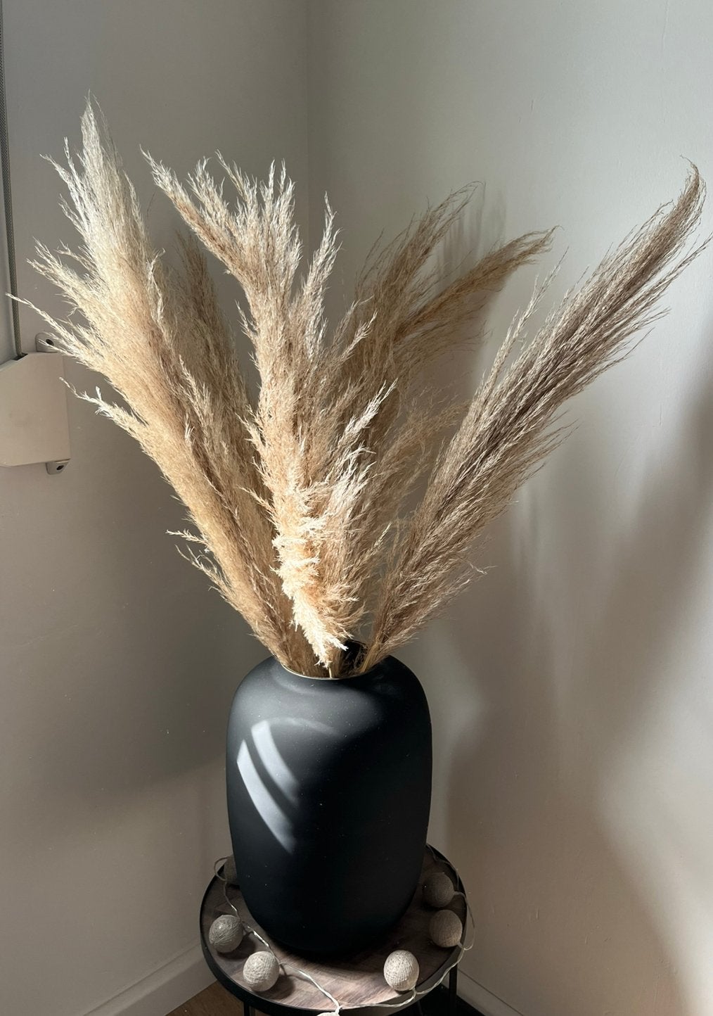 Droog bloemen / pampas pluimen, Ophalen, Nieuw