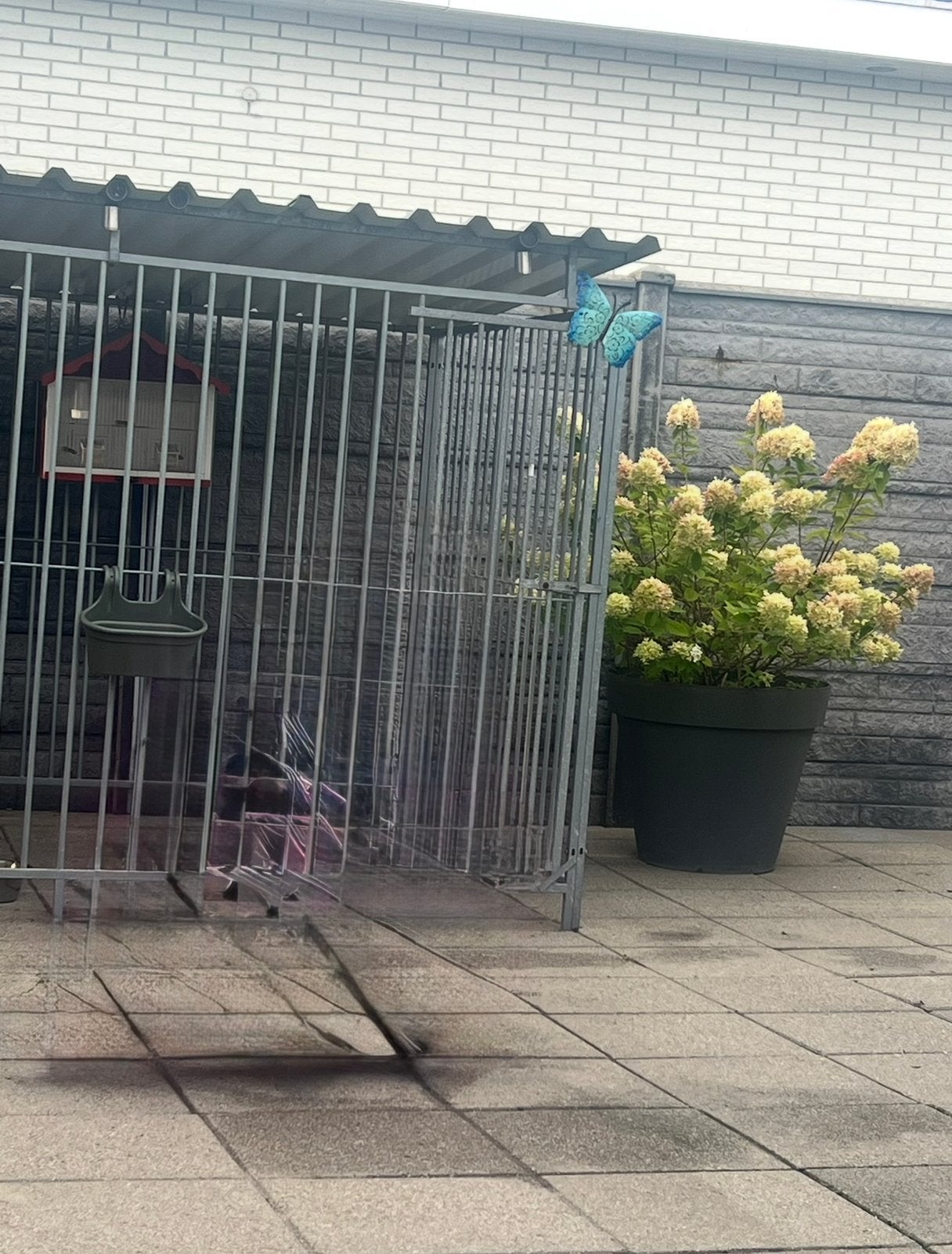 Honden kennel tekoop, Ophalen, Zo goed als nieuw, 110 cm of meer, 100 cm of meer
