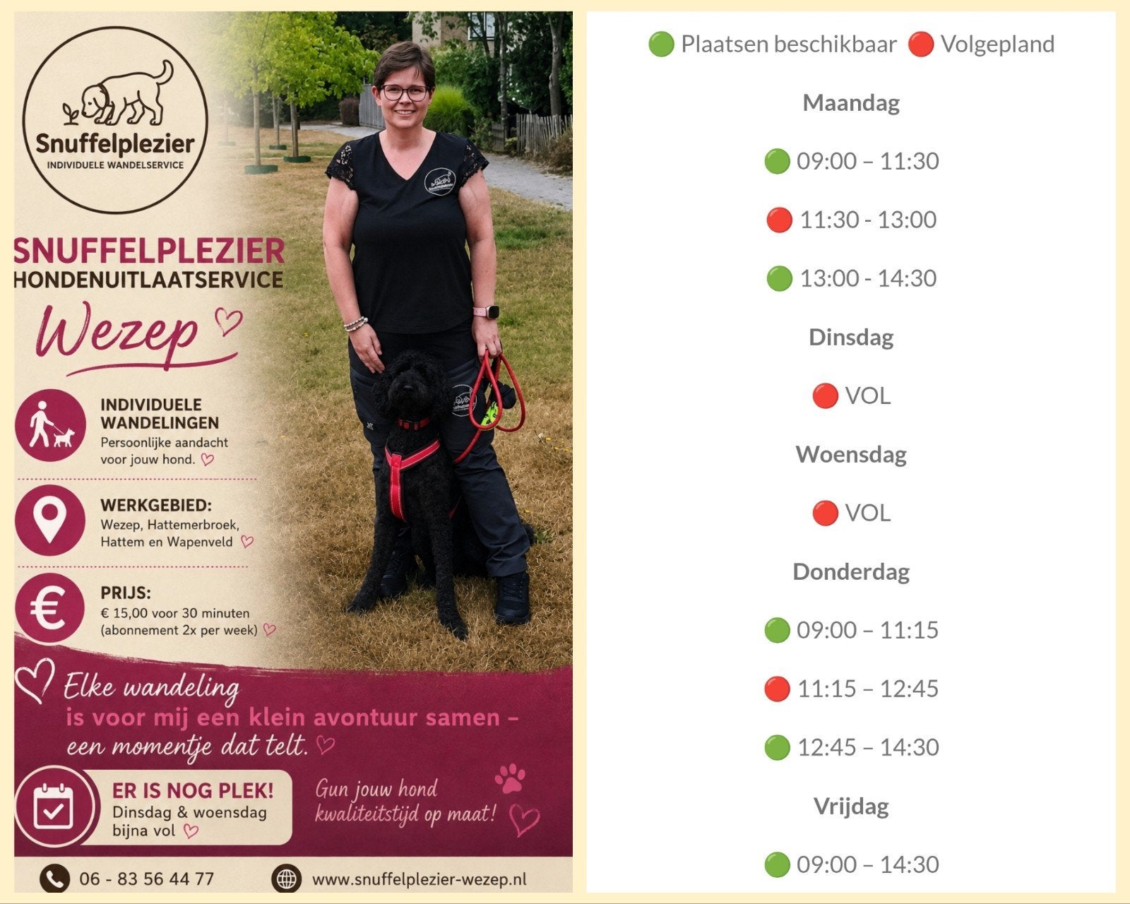 Hondenuitlaatservice Wezep, Hattem, Hattemerbroek, Wapenveld, Ophalen, Hond