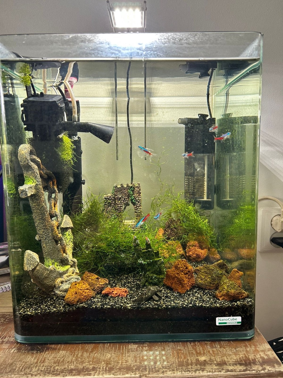 Nano cube algeneter guppies garnalen, Ophalen of Verzenden, Zo goed als nieuw, Leeg aquarium