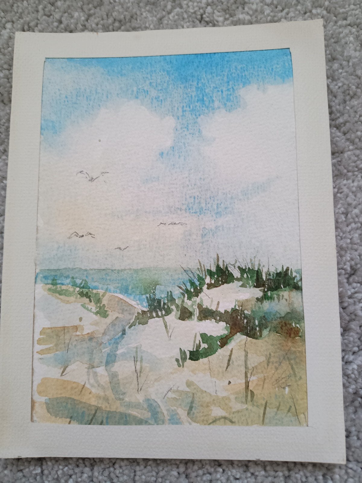 Schilderij: Duinlandschap met zee en vogels, Ophalen of Verzenden