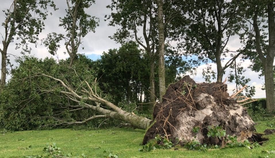 Hulp bij omgevallen boom, Eén persoon, Overige typen