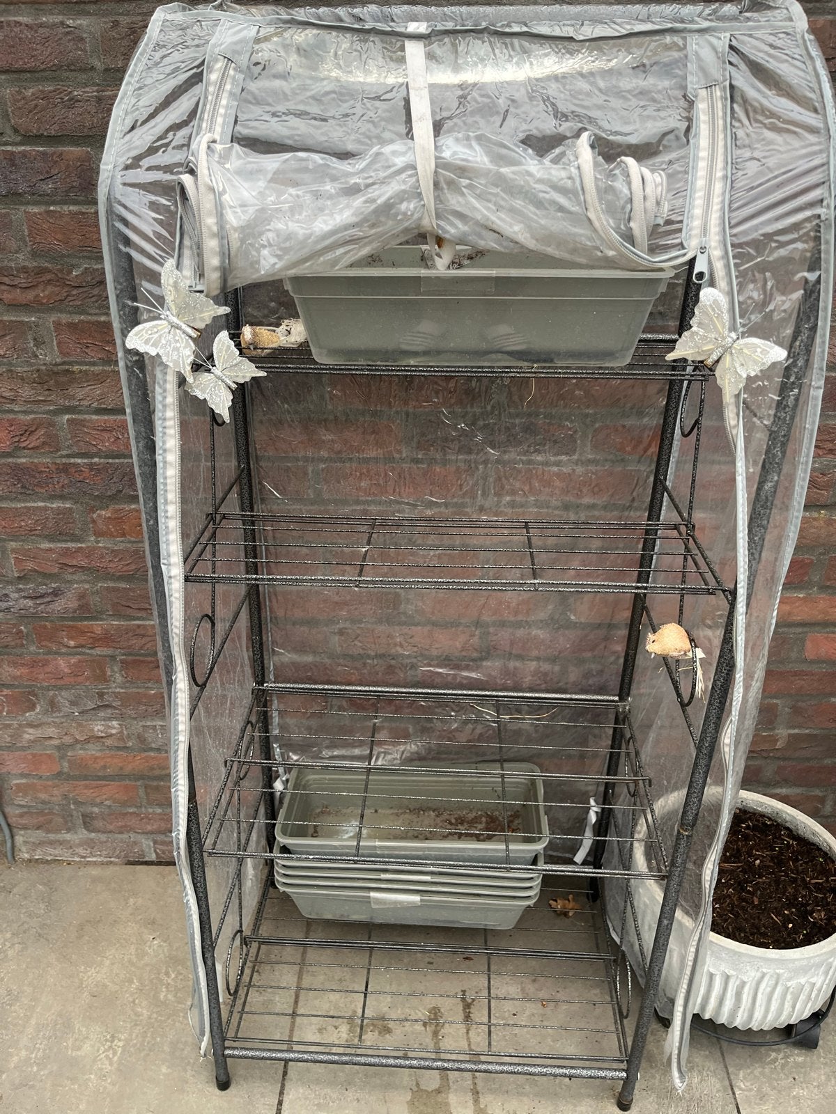 Kweekrekje met 6 bakken en 4 leggers - 125x55cm, Tuin en Terras, Ophalen of Verzenden, Gebruikt, Overige typen