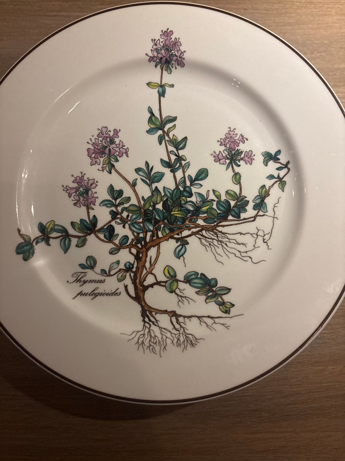 5 Villeroy & Boch Botanica ontbijtborden 21 cm, Gebruikt, Villeroy & Boch, Ophalen of Verzenden, Bord(en)