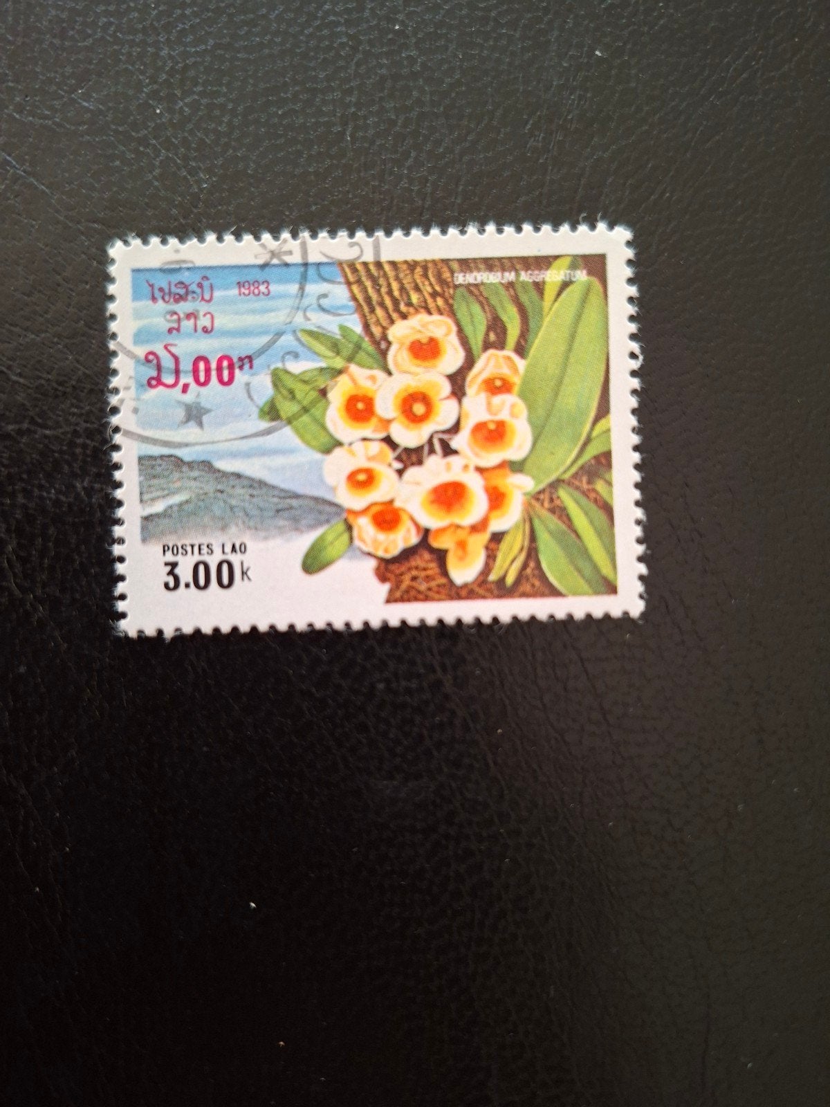 Bloemen.  Laos., Ophalen of Verzenden, Dier of Natuur