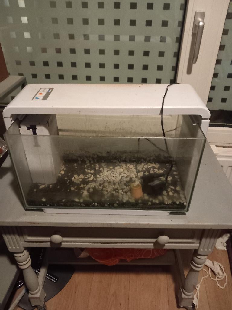 Visbak, Dieren en Toebehoren, Ophalen of Verzenden, Gebruikt, Leeg aquarium