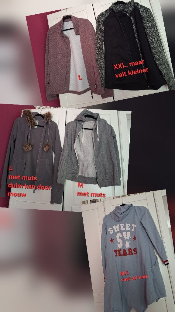 Vesten, Ophalen of Verzenden, Gedragen, Maat 42/44 (L), Overige kleuren