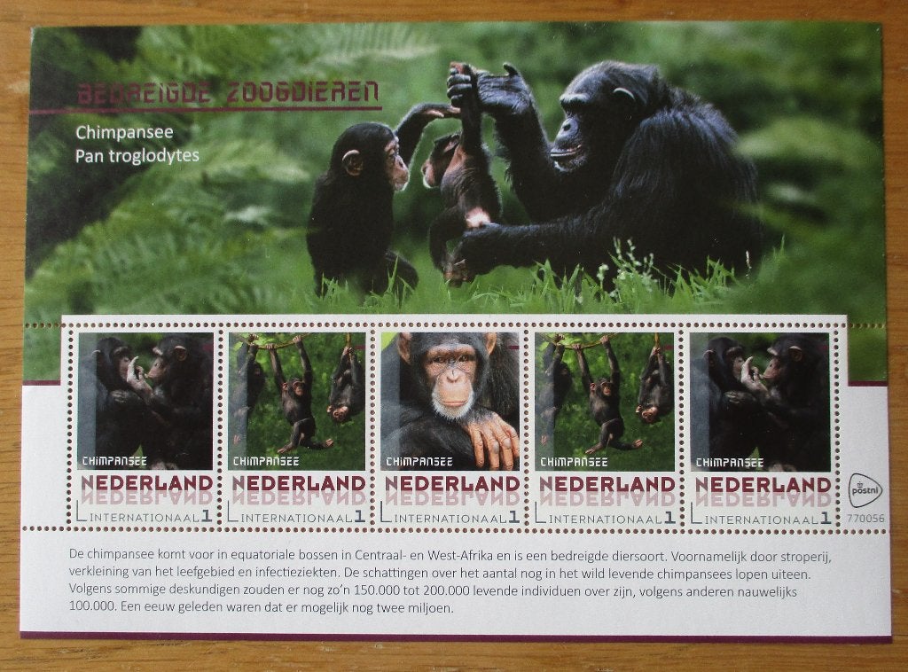 Nederland, velletje Chimpansee (Internationaal 1 zegels), Verzenden, Postfris, Dier of Natuur