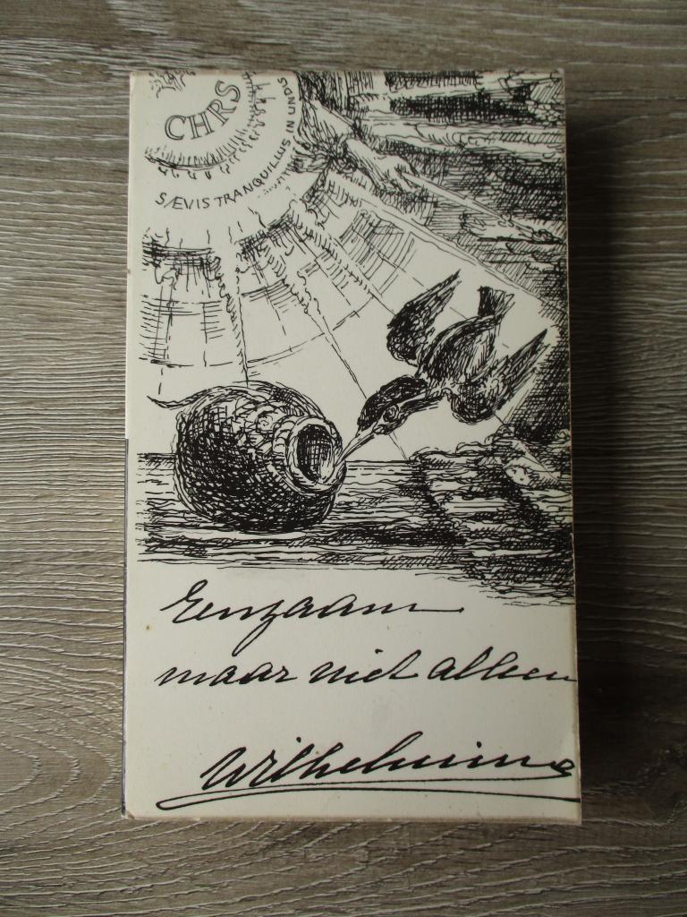 Wilhelmina eenzaam maar niet alleen, Ophalen of Verzenden, Gelezen