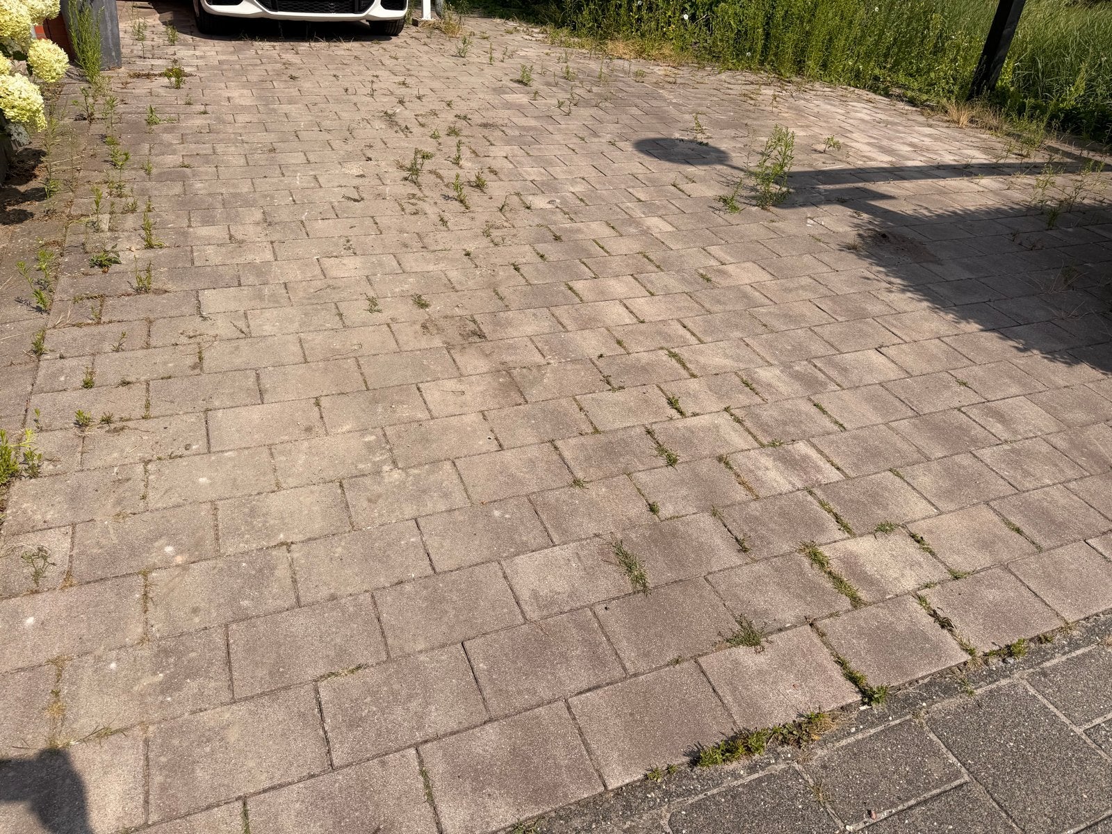 Gratis Oprit Tegels 65m2 - Zelf Verwijderen, Ophalen, Gebruikt, 10 m² of meer, Beton