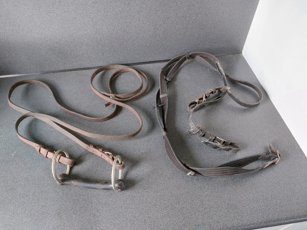 2 teugels en 1 rubber bit, Dieren en Toebehoren, Paarden en Pony's | Hoofdstellen en Tuigage, Gebruikt, Ophalen of Verzenden, Verstelbaar