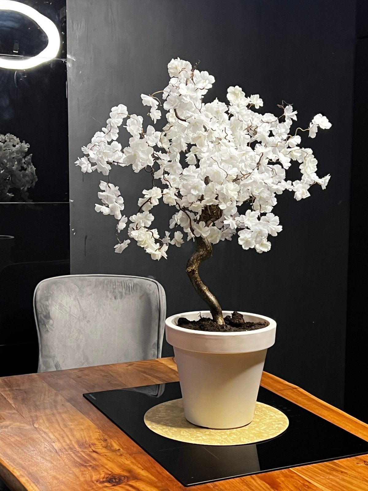 Bloesemboom Wit - New, Binnen, 100 cm, Handgemaakt, Nieuw