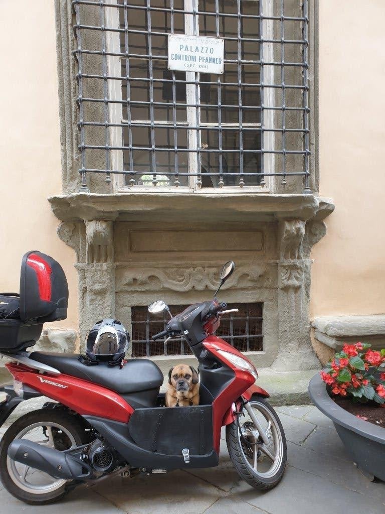 Honda Vision NSC 110, Scooter, Motorrijbewijs A, Particulier