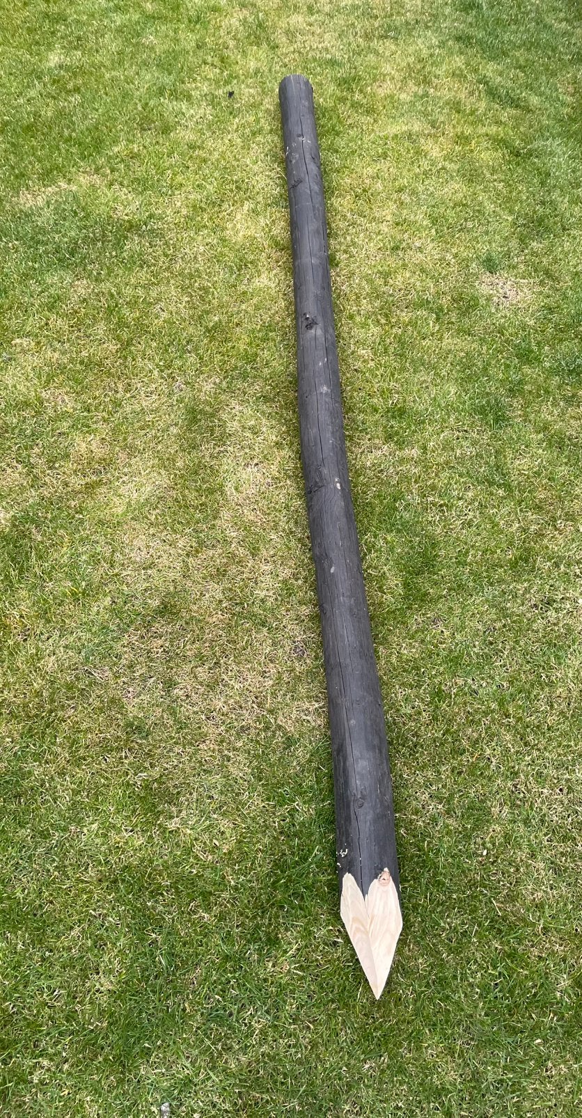 Geschilde tuinpaal doorsnee 100 cm lengte 265 cm, Ophalen, Gebruikt, 250 cm of meer, Palen
