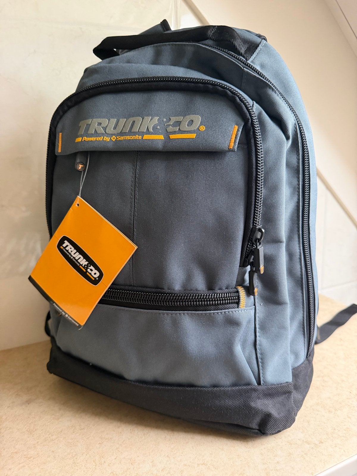 Samsonite  Trunck&Co backpack Rugzak -  (Nieuw met label), Sieraden, Tassen en Uiterlijk, Tassen | Rugtassen, Ophalen of Verzenden
